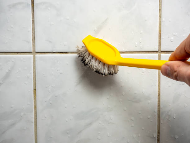 Professional Mold Removal in Glendale, WI