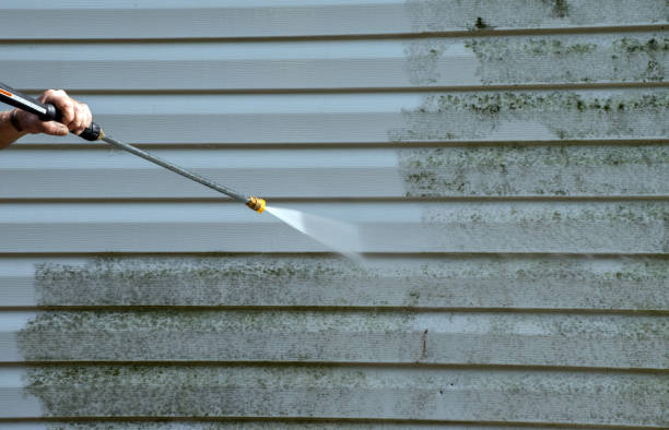 Certified Mold Removal in Glendale, WI