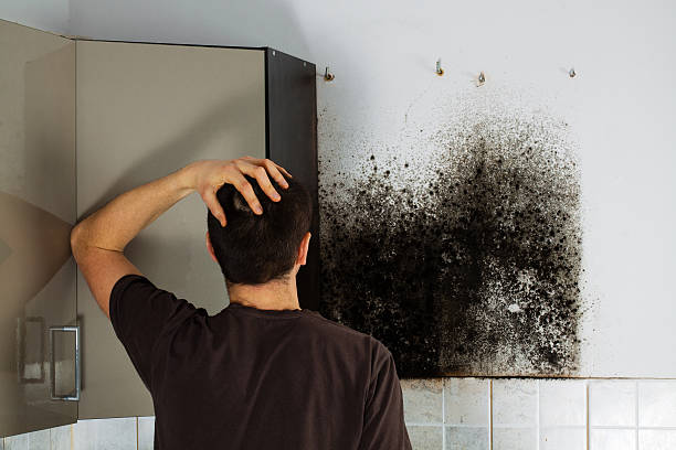 Best Crawl Space Mold Removal  in Glendale, WI